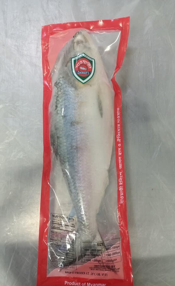 HILSA (W) 1500-2000 GM