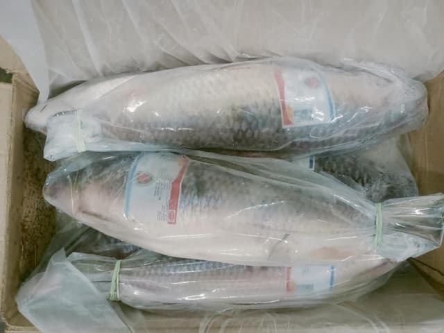 T-Shirts Every Man Needs in His Wardrobe