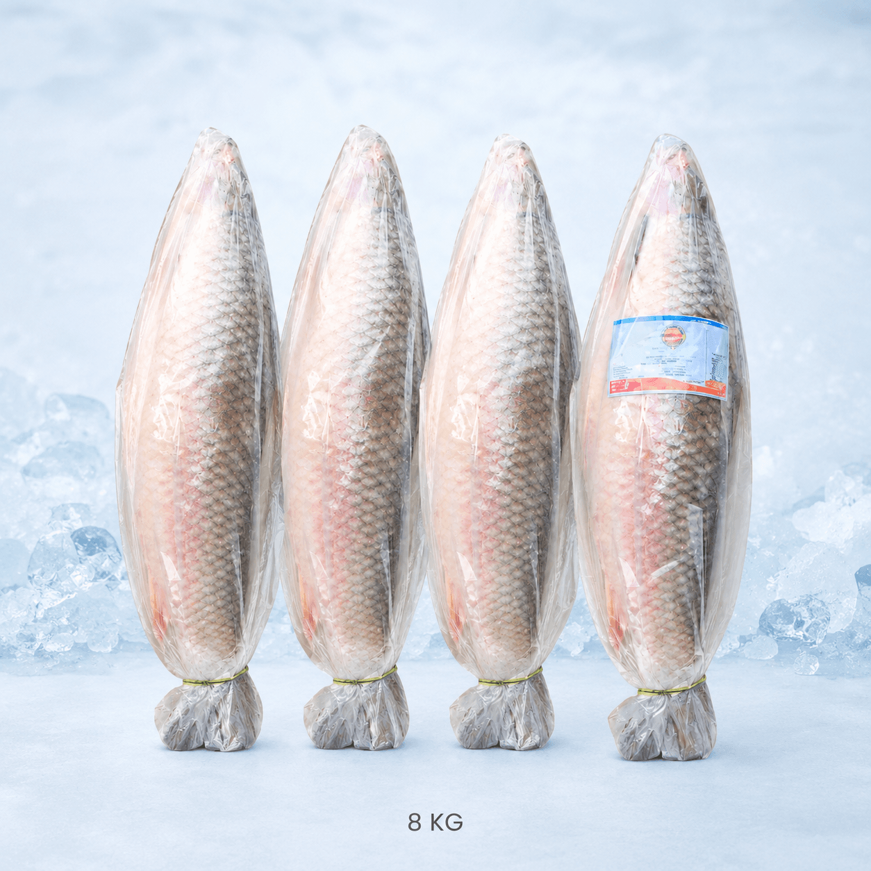 MRIGAL(G) 8KG&UP